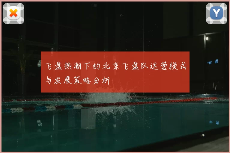 飞盘热潮下的北京飞盘队运营模式与发展策略分析