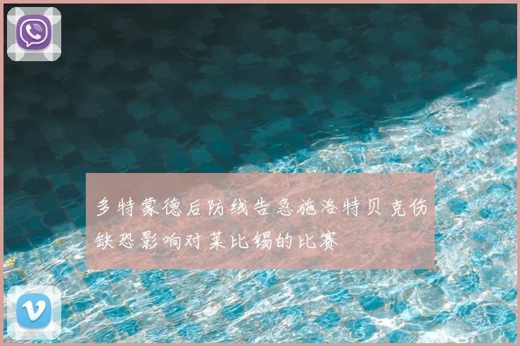 多特蒙德后防线告急施洛特贝克伤缺恐影响对莱比锡的比赛