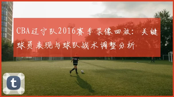 CBA辽宁队2016赛季录像回放:关键球员表现与球队战术调整分析
