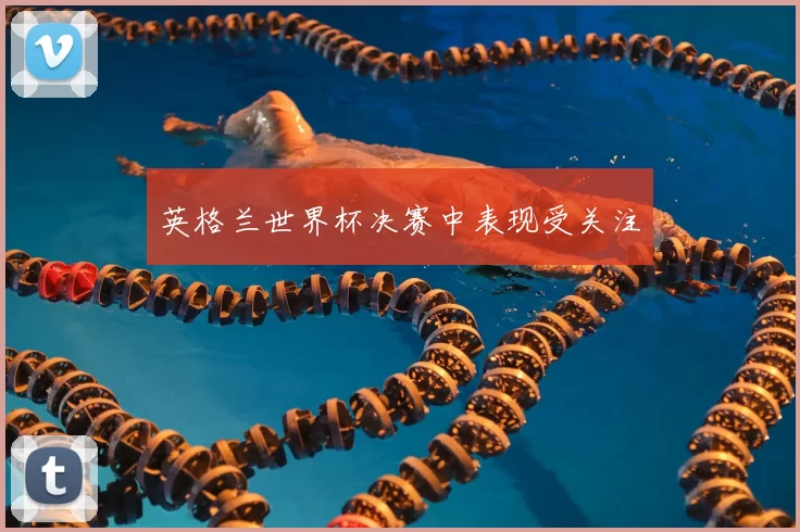 英格兰世界杯决赛中表现受关注