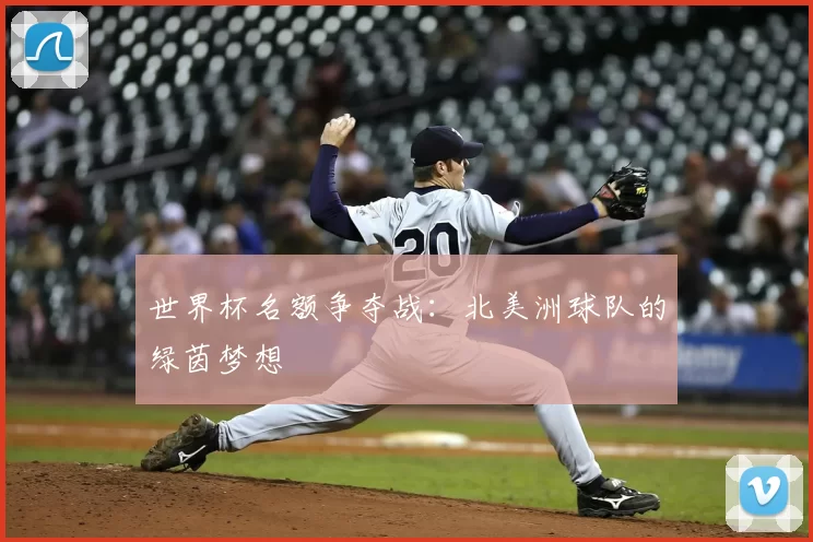 世界杯名额争夺战:北美洲球队的绿茵梦想