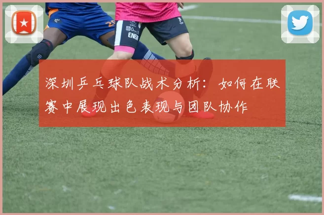 深圳乒乓球队战术分析:如何在联赛中展现出色表现与团队协作