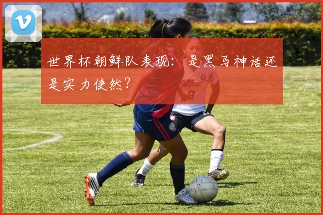 世界杯朝鲜队表现:是黑马神话还是实力使然?