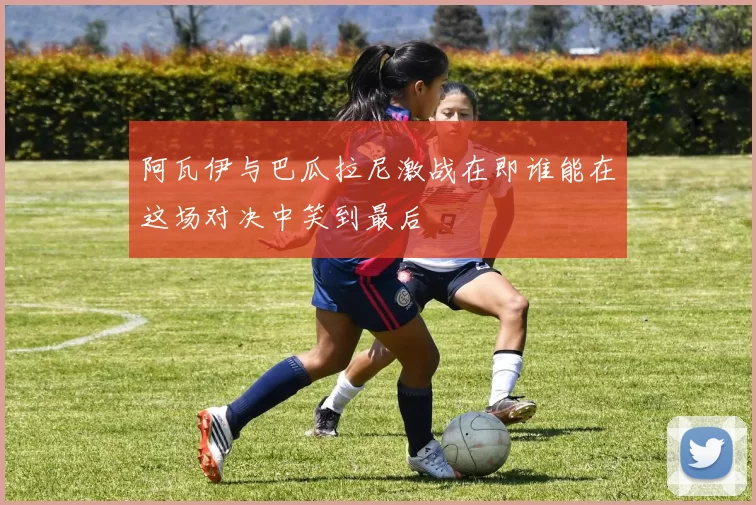 阿瓦伊与巴瓜拉尼激战在即谁能在这场对决中笑到最后
