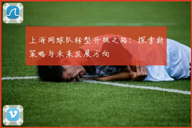 上海网球队转型升级之路：探索新策略与未来发展方向