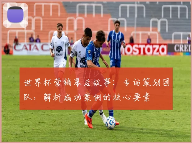 世界杯营销幕后故事:专访策划团队,解析成功案例的核心要素