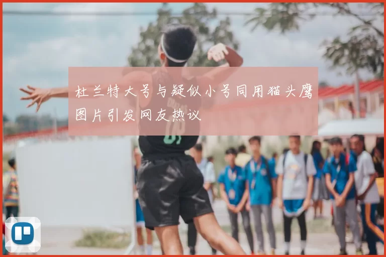杜兰特大号与疑似小号同用猫头鹰图片引发网友热议