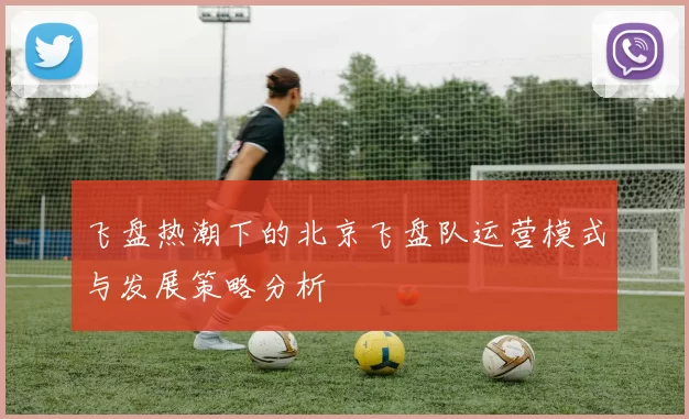 飞盘热潮下的北京飞盘队运营模式与发展策略分析