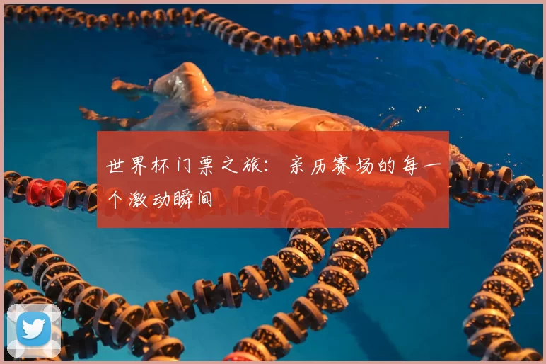 世界杯门票之旅：亲历赛场的每一个激动瞬间
