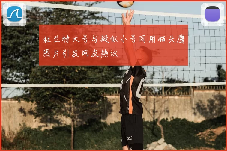 杜兰特大号与疑似小号同用猫头鹰图片引发网友热议