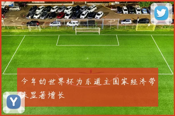 今年的世界杯为东道主国家经济带来显著增长